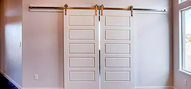Glass Barn Door with Installation Hardware Kit Hartford